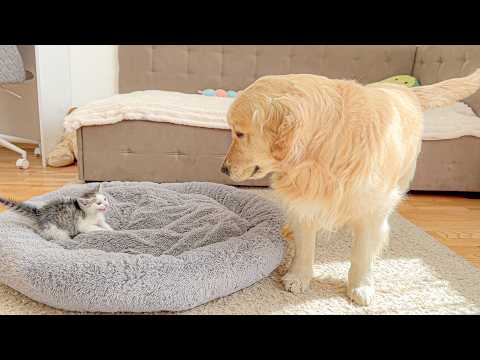 YouTube 썸네일
