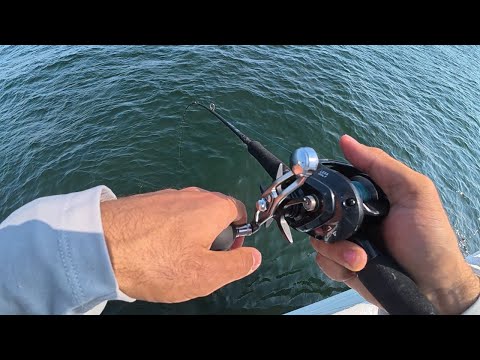 Epic Pre Storm Fluke Limit Ocean Explorer