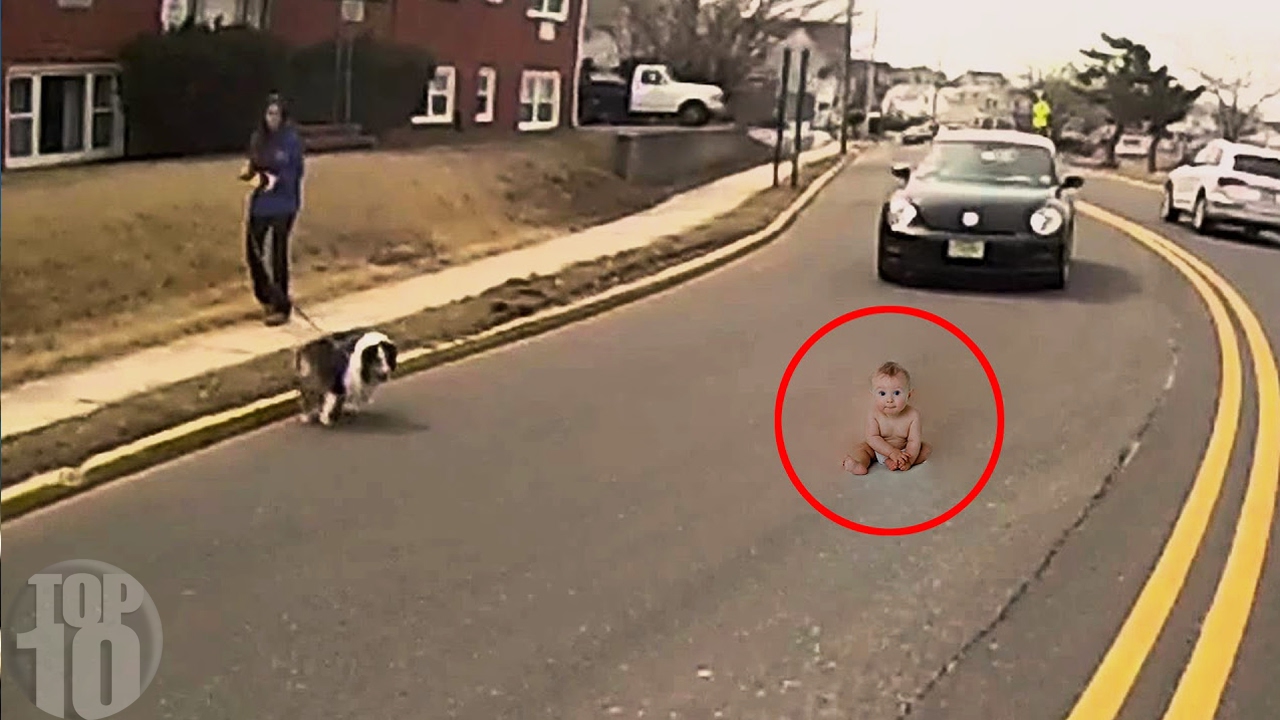 10 Animals Who SAVED PEOPLE'S LIVES!