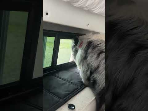 Vanlife Safety Tips as a SOLO TRAVELER