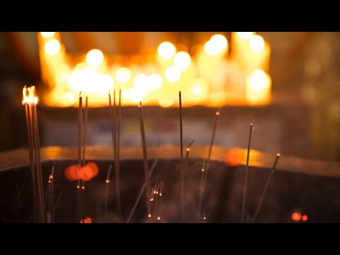 Nourish and Connect Meditation — Jack Kornfield