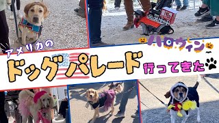 【スゴい】アメリカのハロウィンドッグパレードに参加したら、癒されまくった