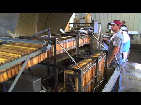 Honey Extraction from Artificial Hives