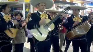 Mariachi Botas Negras Quien te araño los cachetes