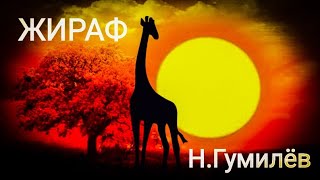 Рыбалка на озере чад гумилев