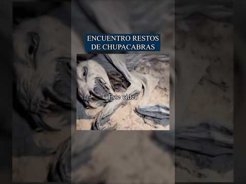 Found a dead chupacabra 😱💀 #legends #mystery #shorts