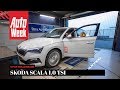 Skoda Scala 1.0 TSI - Op de Rollenbank