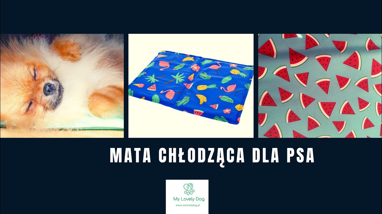 Mata chłodząca dla psa - czy używać i jak