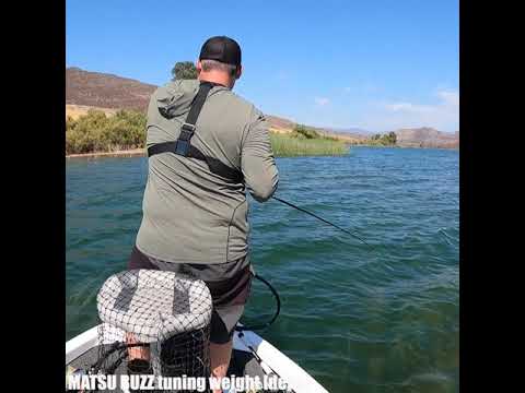 High Noon Buzzing with deps MATSUBUZZ