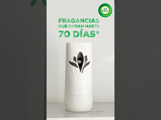 Vídeo relacionado con Air Wick Spray Automático Sin Aerosol, Ambientador Hogar Fragancia Flor de Jazmín, 1 Aparato, 2 Recambios, 24 x 7 Active Fresh Neutralizador de Olores, hasta 70 Días de Frescor