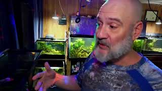 Making Changes to The Fish Room w/ Dandalf