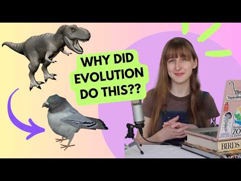 Dinos to Dodos to Doves -- The Evolution of Pigeons