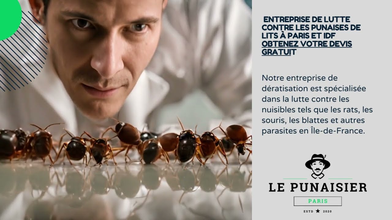 Le Punaisier — Traitement punaises de lit Paris