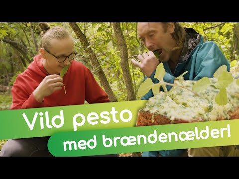 Det helt vildt! ft. Johannes Matzen & Nikolaj Kirk  I  Mad med naturtalenter  I  MadMagi