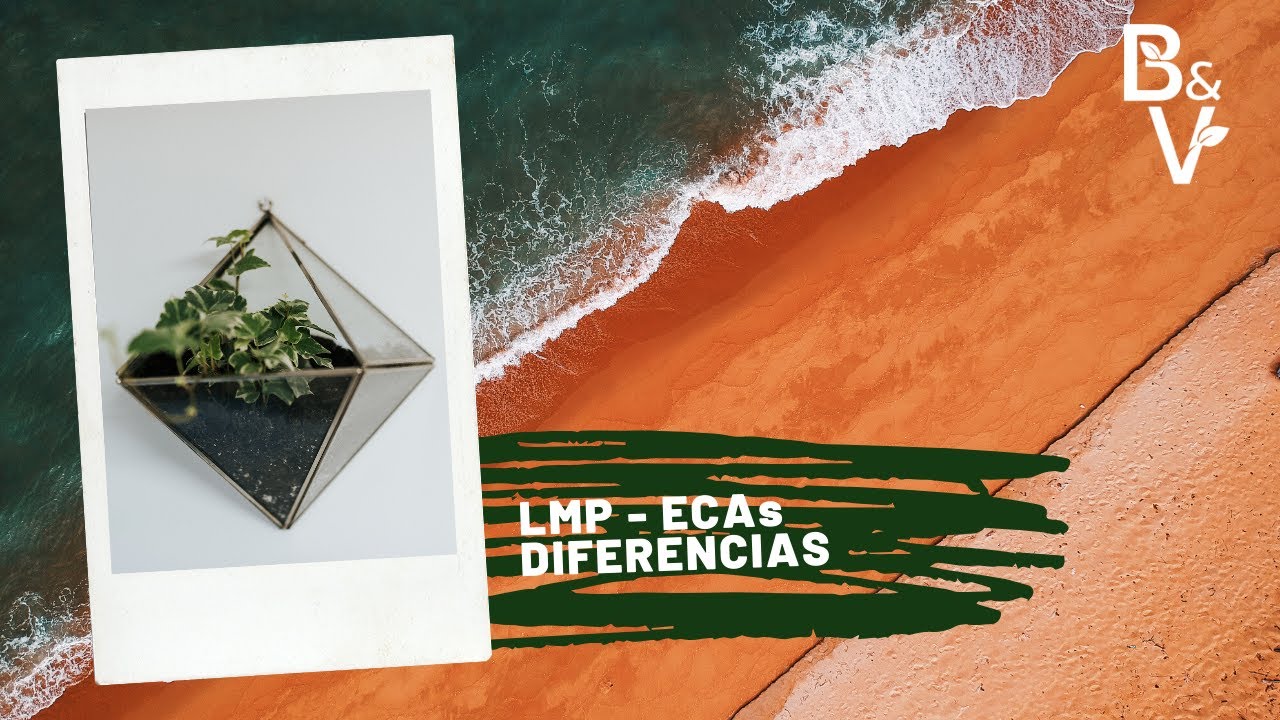 LMP ECAs DIFERENCIAS