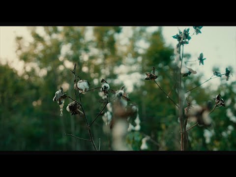 Carlito Codigo - Renuncio (Visualizer) | H.V.A.C🏡