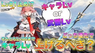 【鳴潮】キャラLvは81止め!? ソラランク7で耐性値と基礎攻撃力に気をつけよう!! [いぶ]