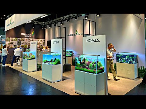 Watch Video on YouTube