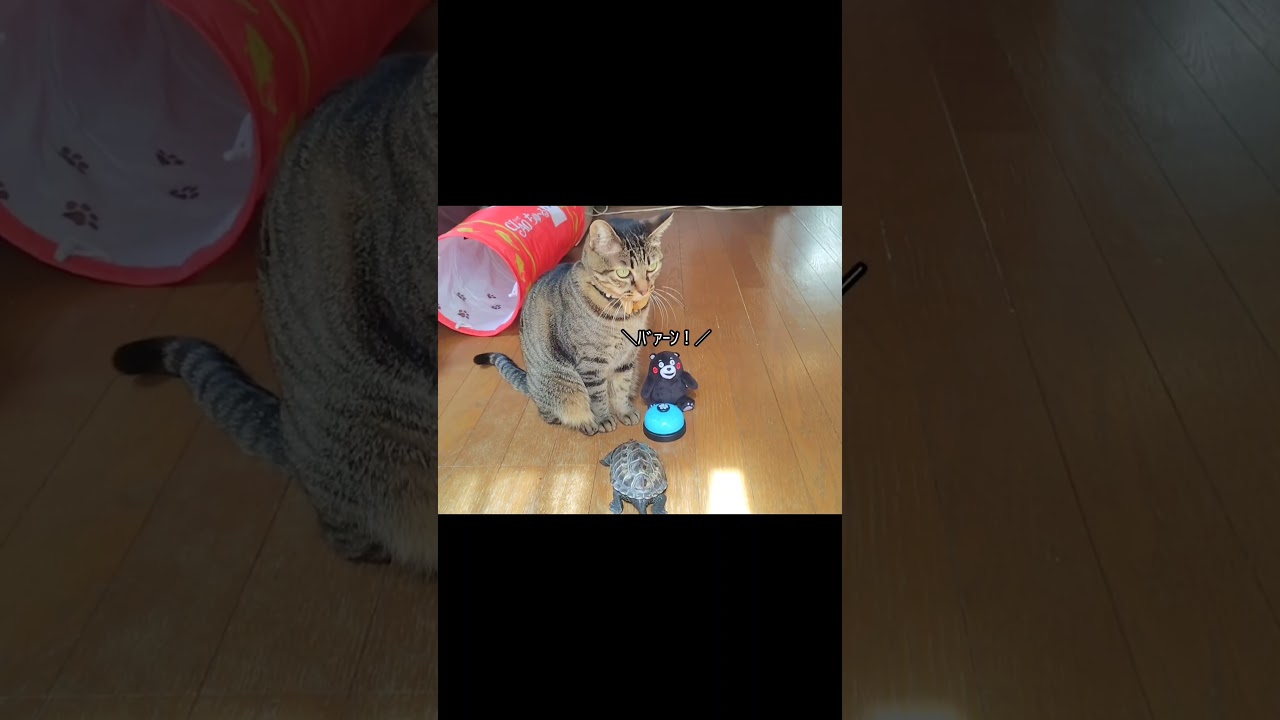 思ってたのと違う音だった