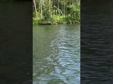 Ponge nadhi pakanum #song lyrics