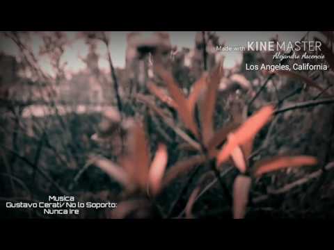 Gustavo Cerati/ No lo Soporto: Nunca Ire