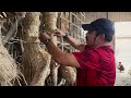 SREEBHUMI DURGA PUJA PREPARATION 2024 OFFICIAL VIDEO SCULPTOR PRADIP RUDRAPAL PRP STUDIO