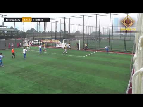 Gol Videosu