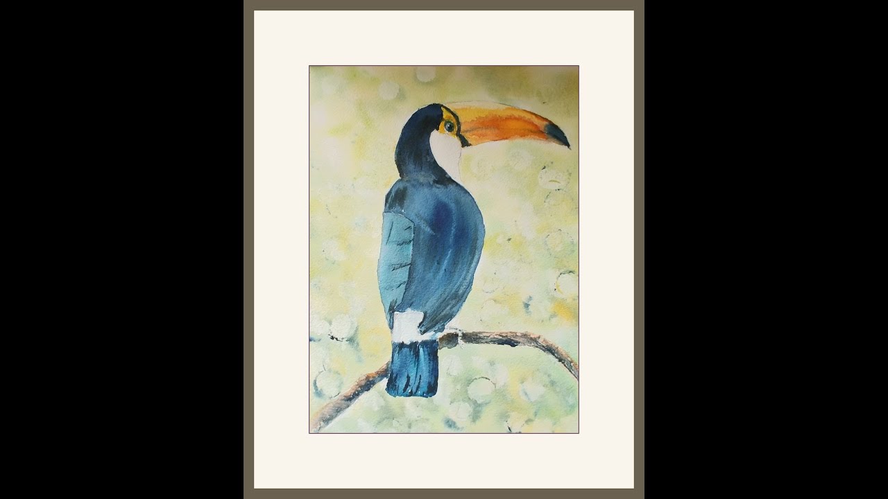 the toucan watercolour art demo guide with David Harvey H#S