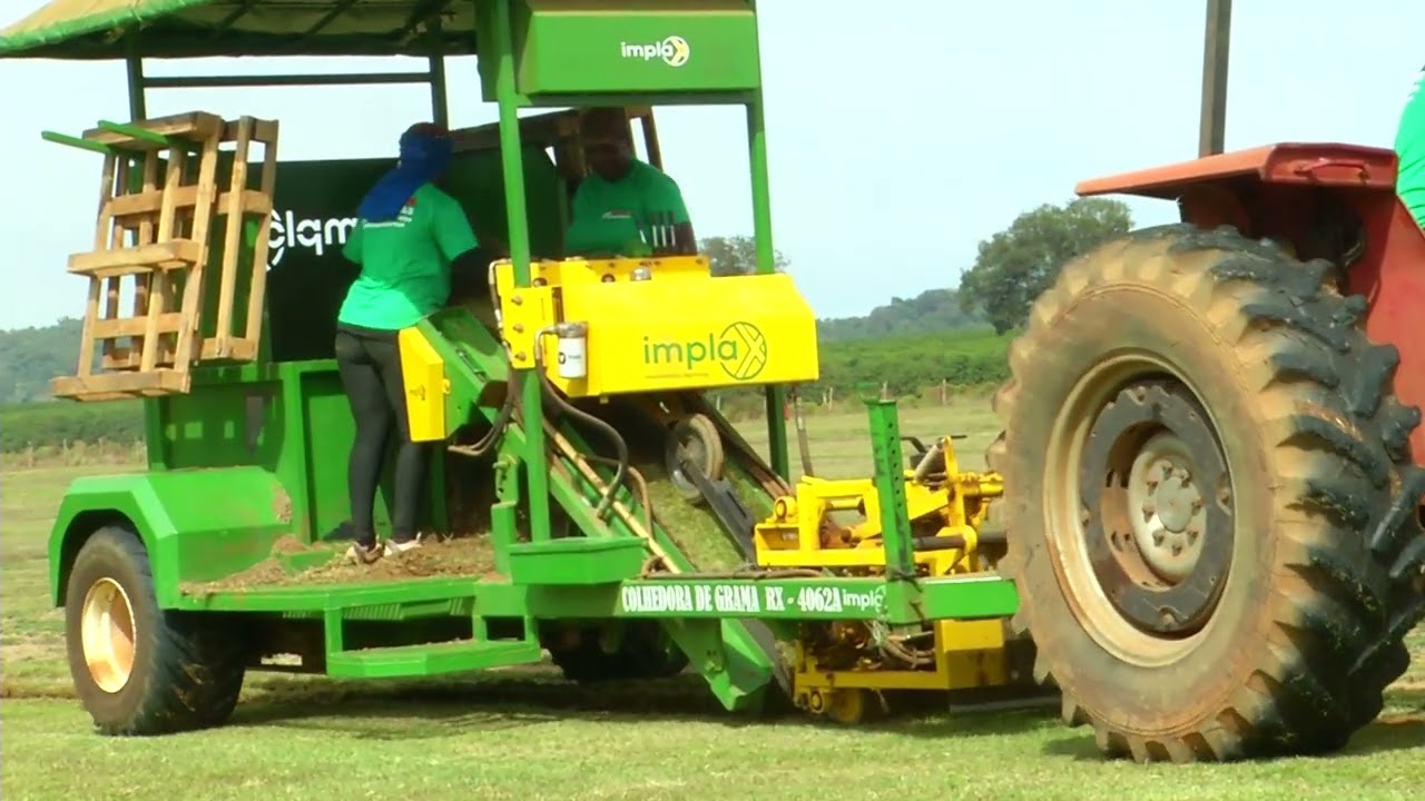 Chuvas ajudam produtores de grama no Sul de Minas