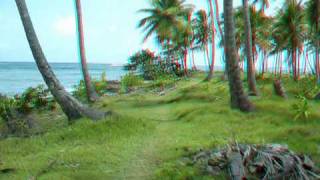 Samana 3D /  The Rip Chords