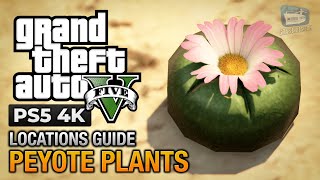 GTA 5 PS5 - Peyote Plants Location Guide (Play as an Animal)