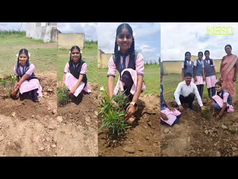 वृक्षारोपण आणि शैक्षणिक साहित्य वाटप