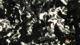 Twenty-five (1972)