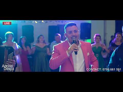 Andrei Despa ❌ Hanul Marioarei ❌ La omul care imi e drag | Formatia Andrei Despa