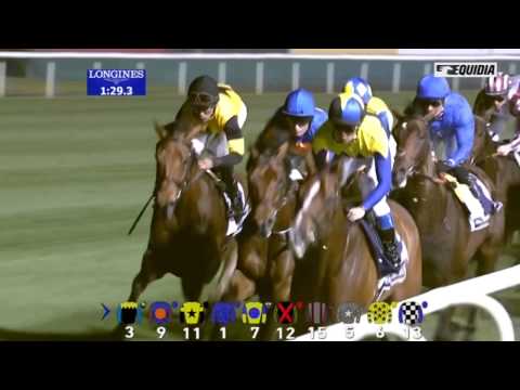 Gentildonna - Dubai Sheema Classic (Gr.1) - Meydan - 29/03/14