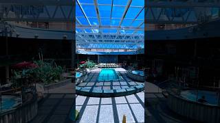 Gotta love a jungle themed pool on MSC Cruise Line. #cruise #travel #vacation