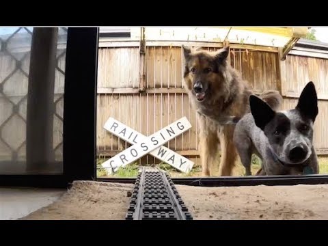 2020 Lego Train Set Fails Part1