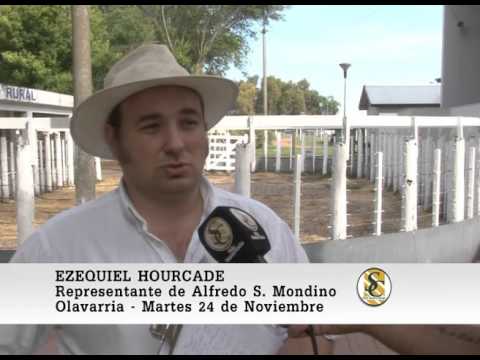 24-11-15 Nota Ezequiel Hourcade - Alfredo S. Mondino - Olavarria.