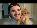 I Adopted A Cat
