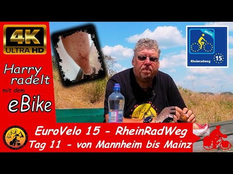 EuroVelo 15 - The Rhine Cycle Route - Day 11 - from Mannheim to Mainz