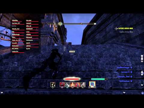 Why I love to fight Ebonheart Pact.