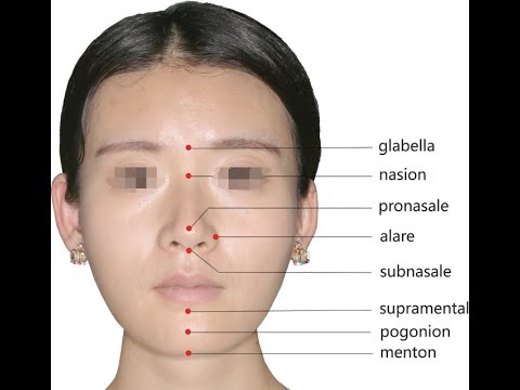 Anatomy of the Nasion // Bridge of the nose