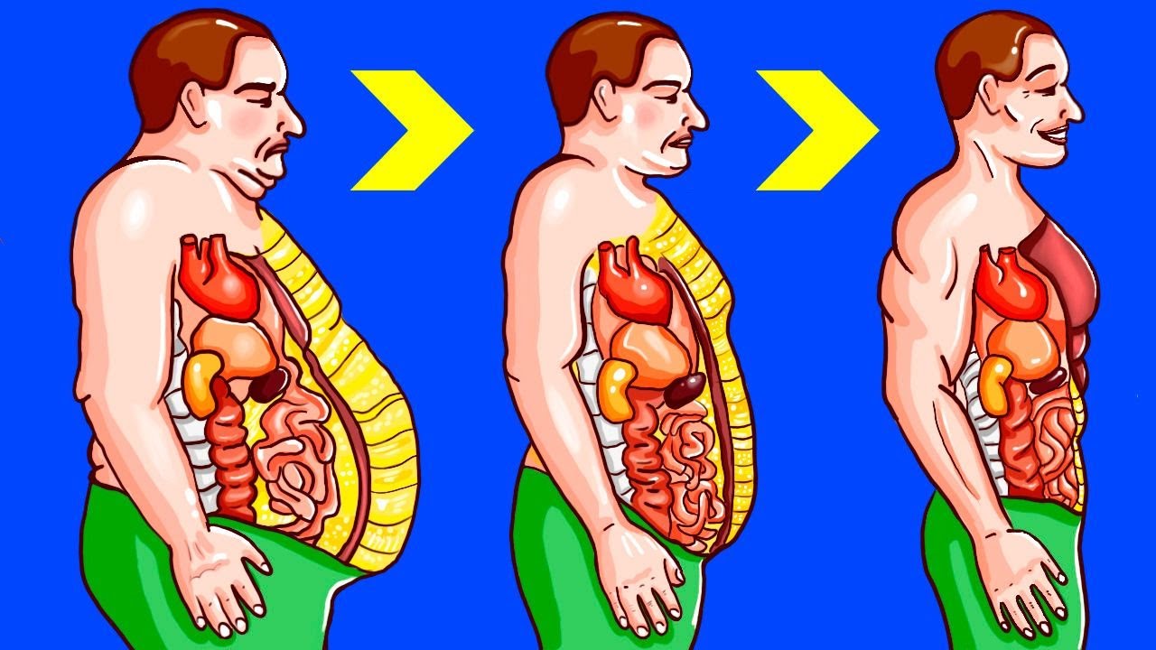 14 Formas de Reduzir a Gordura Abdominal — E Não São Apenas Exercícios