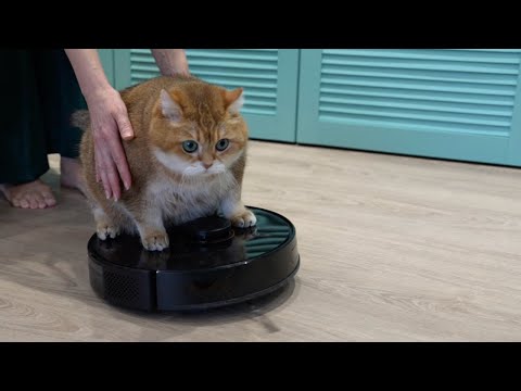 The Best Robot Vacuum Cleaner Test Verefa L11 Pro