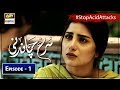 Surkh Chandni | Episode 1 | ARY Digital Drama [Subtitle Eng]