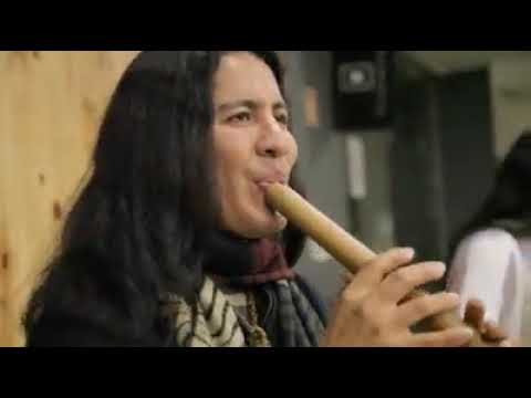 ALEGRIA EN LA SELVA EN QUENA-SERGIO SIKURIS