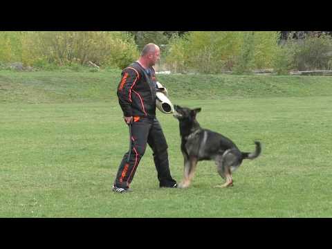 MM MSKS Zbraslav 2019 -  Zuzana Berdychová - Balboa Moravská kometa - obrana/defense