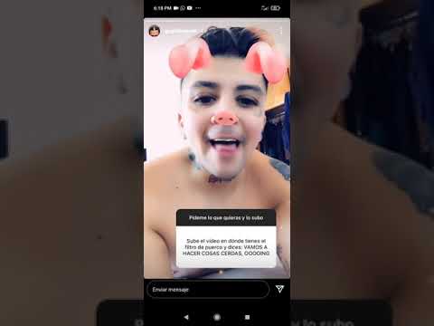 Lil Go, Go Golden Junk, historias de Instagram Vagabundos beso, filtro del cerdo.