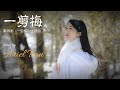 Fei Yu Qing Yi Jian Mei Cover | Xue Hua Piao Piao Bei Feng Xiao Xiao | Ariel Tian