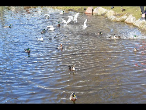 Nyt aurinkollista viikonloppua